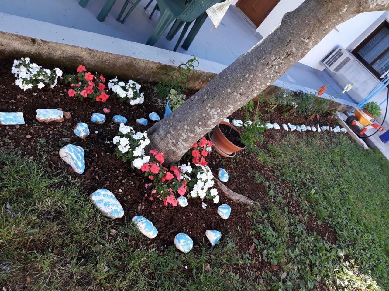 Amalia Apartment Umag Bagian luar foto